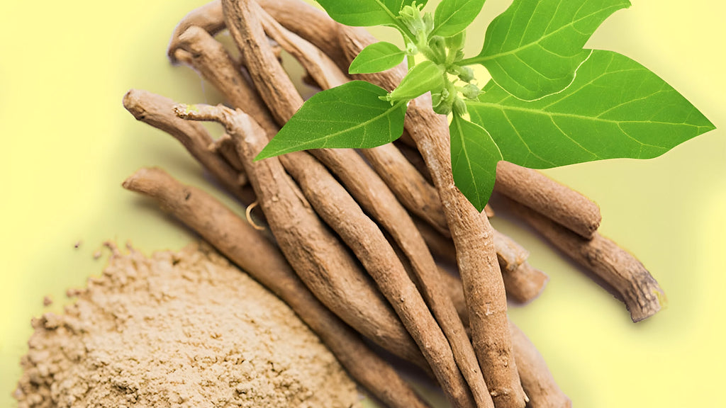 Ashwagandha: Ancient Remedy for Cognitive Health