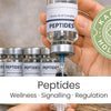 The Science of Peptides in 2026: Biological Signalling, Wellness Applications, and the New UK Regulations Explained