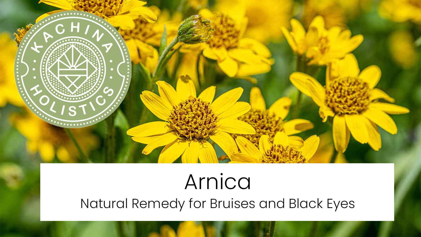 Arnica: Nature’s Remedy for Bruises and Black Eyes