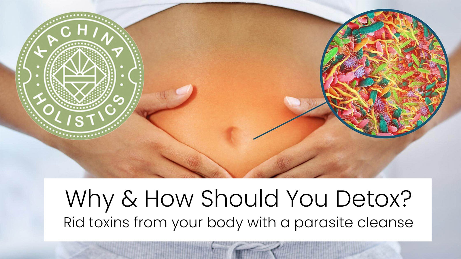Why & How Should You Detox? - Parasite Cleanse UK