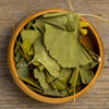Ginkgo Leaves